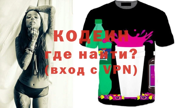 молекула духа Вяземский