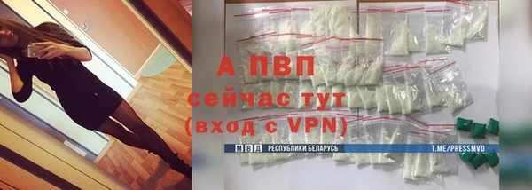 молекула духа Вяземский