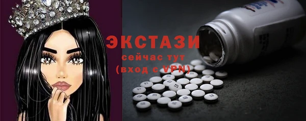 молекула духа Вяземский