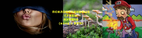 метадон Горнозаводск