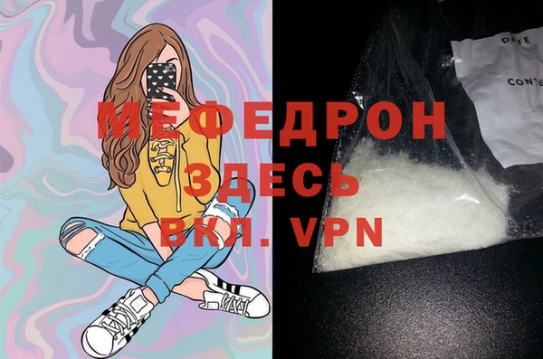 молекула духа Вяземский