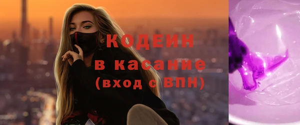 молекула духа Вяземский