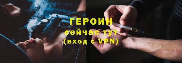 молекула духа Вяземский