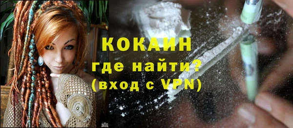 молекула духа Вяземский
