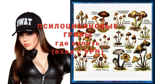 круглые Вязьма