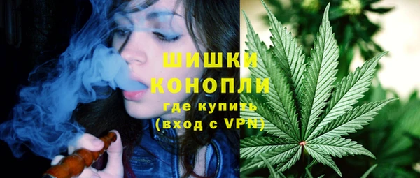 молекула духа Вяземский
