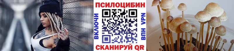 Галлюциногенные грибы Cubensis MEGA ONION Чернушка